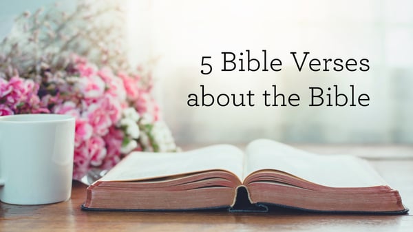 5 Bible Verses about the Bible