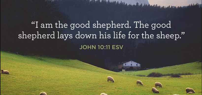 I Am the Good Shepherd