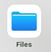 Apple Files App