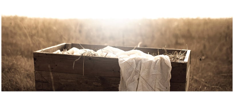 Christmas Greetings from Alistair Begg Christmas Greetings from Alistair Begg