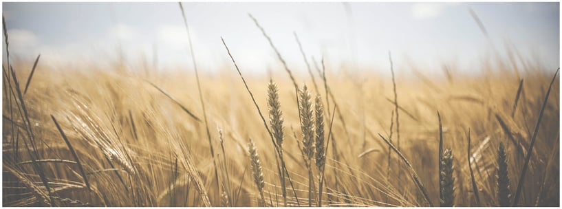 November letter from Alistair Begg November letter from Alistair Begg