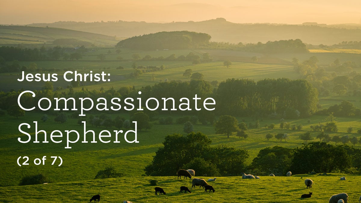 Jesus Christ: Compassionate Shepherd (2 of 7)