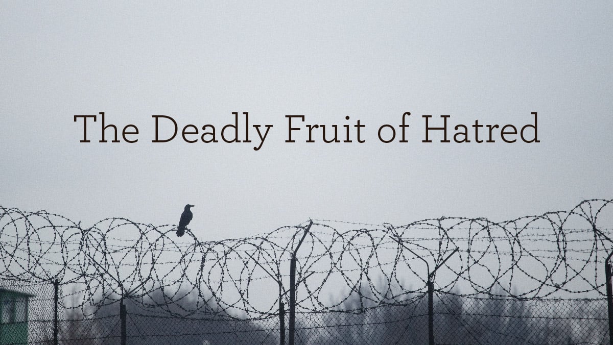 the-deadly-fruit-of-hatred