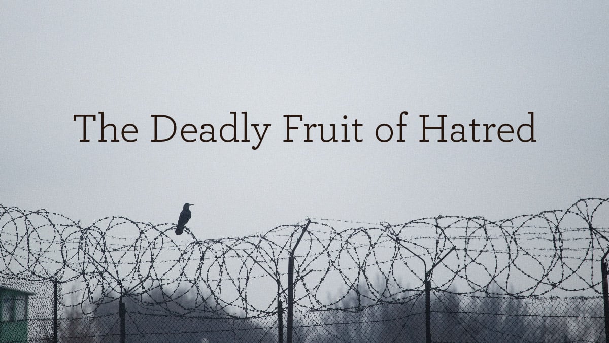 The Deadly Fruit of Hatred