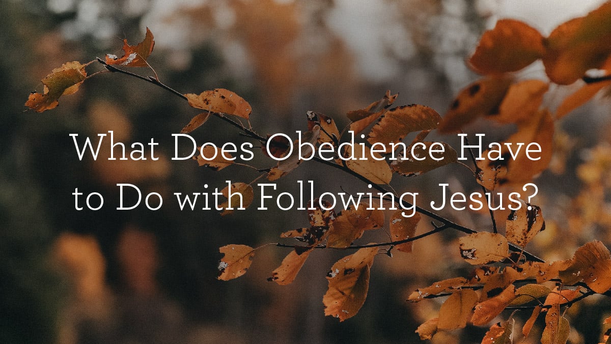 What Does Obedience Have to Do with Following Jesus?