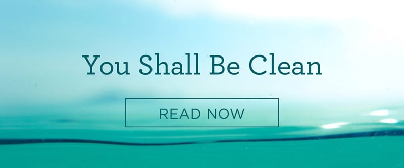 Youshallbeclean_Devo_CTA