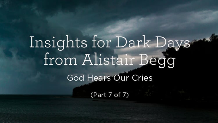 DarkDays_7of7_blog