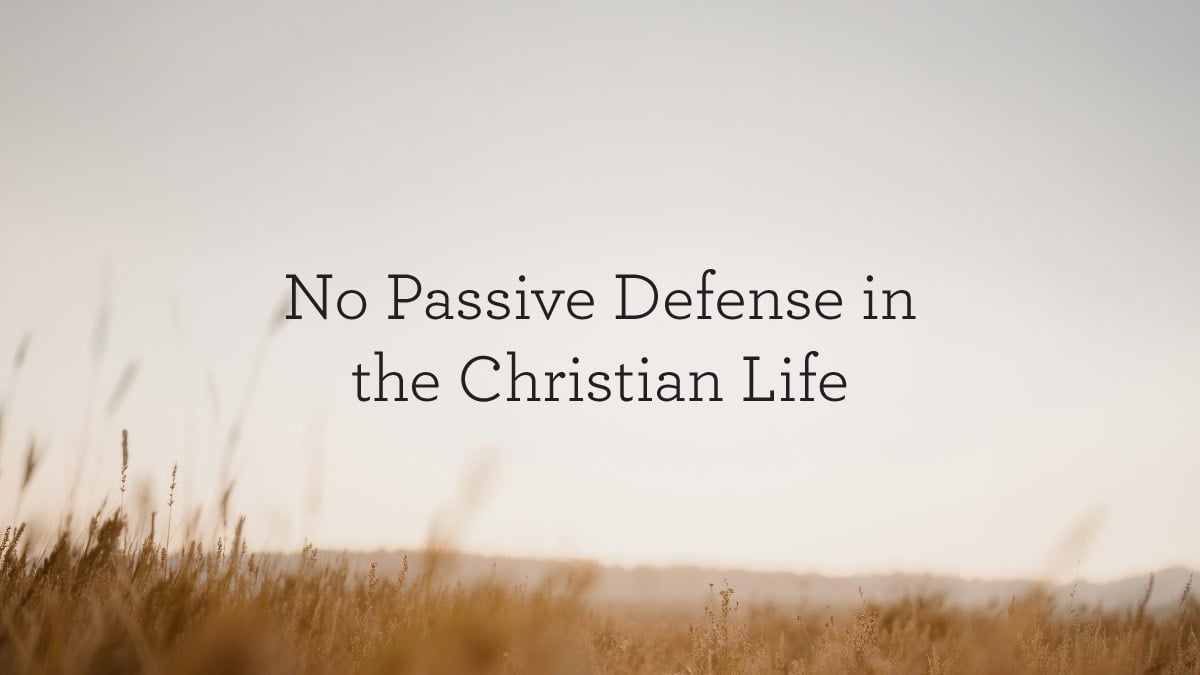 NoPassiveDefenseInTheChristianLife_BlogHeader_08.05