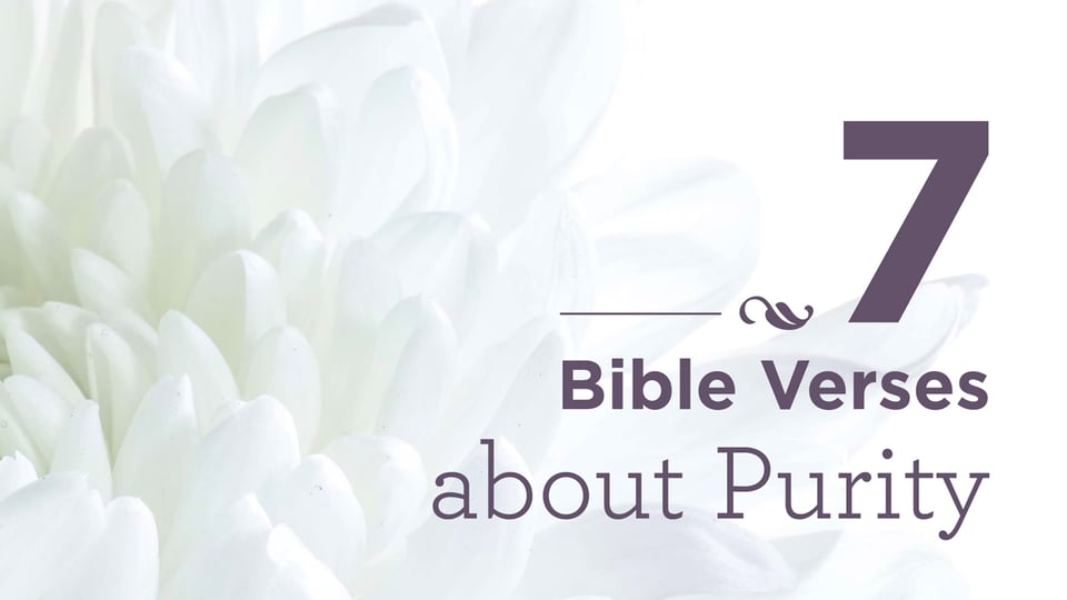 Bible Verses on Purity