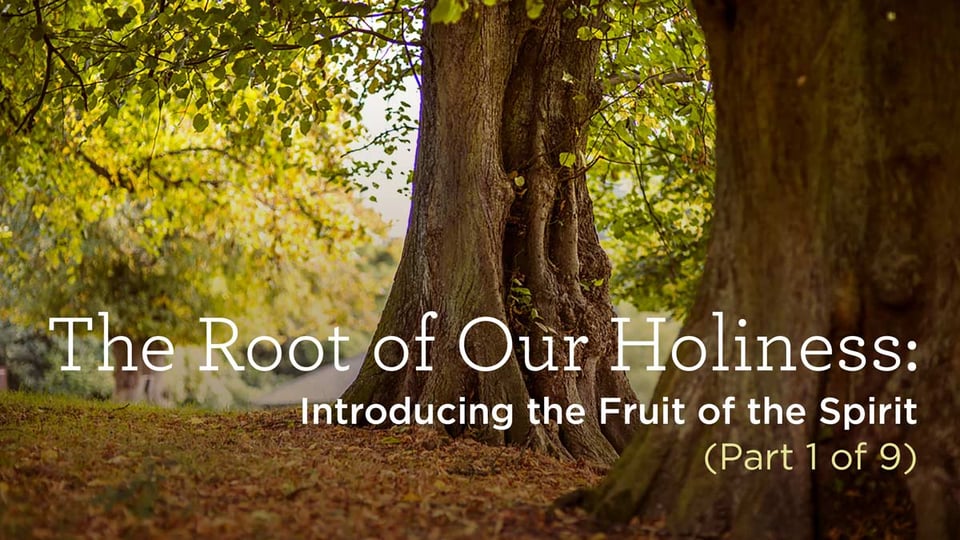 The Root of Our Holiness