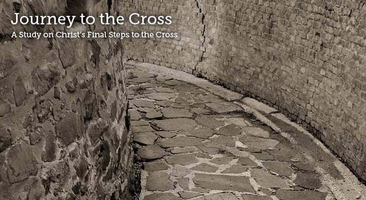 xJourney_to_the_Cross_series.jpg.pagespeed.ic.zMqDcJwkoy.jpg