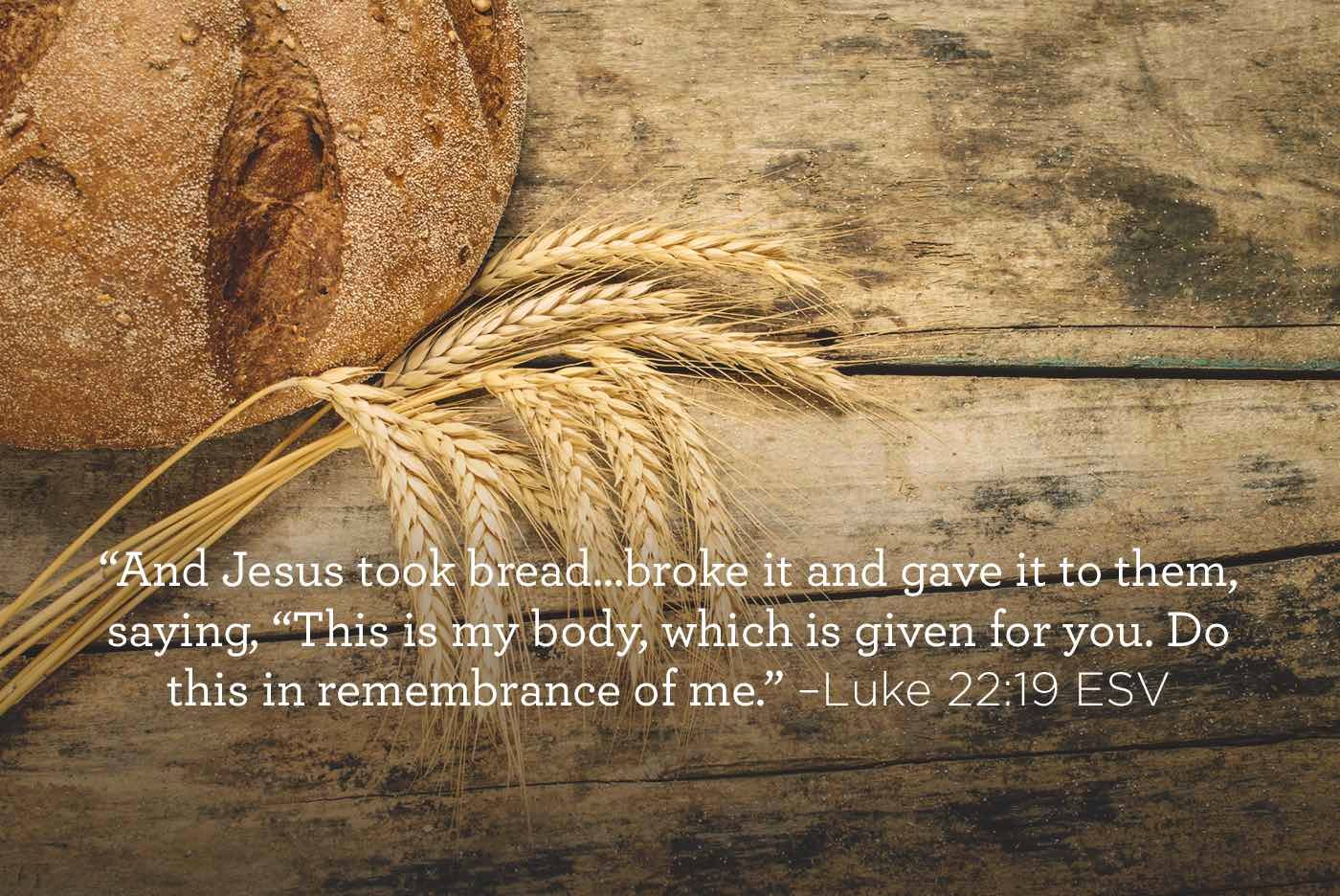 This is My Body, Given For You