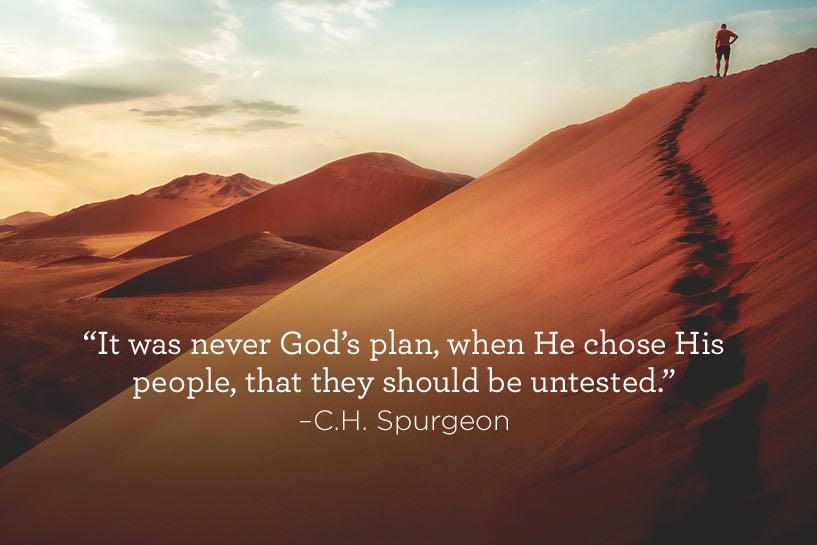 03-08-quote.jpg 03-08-quote.jpg