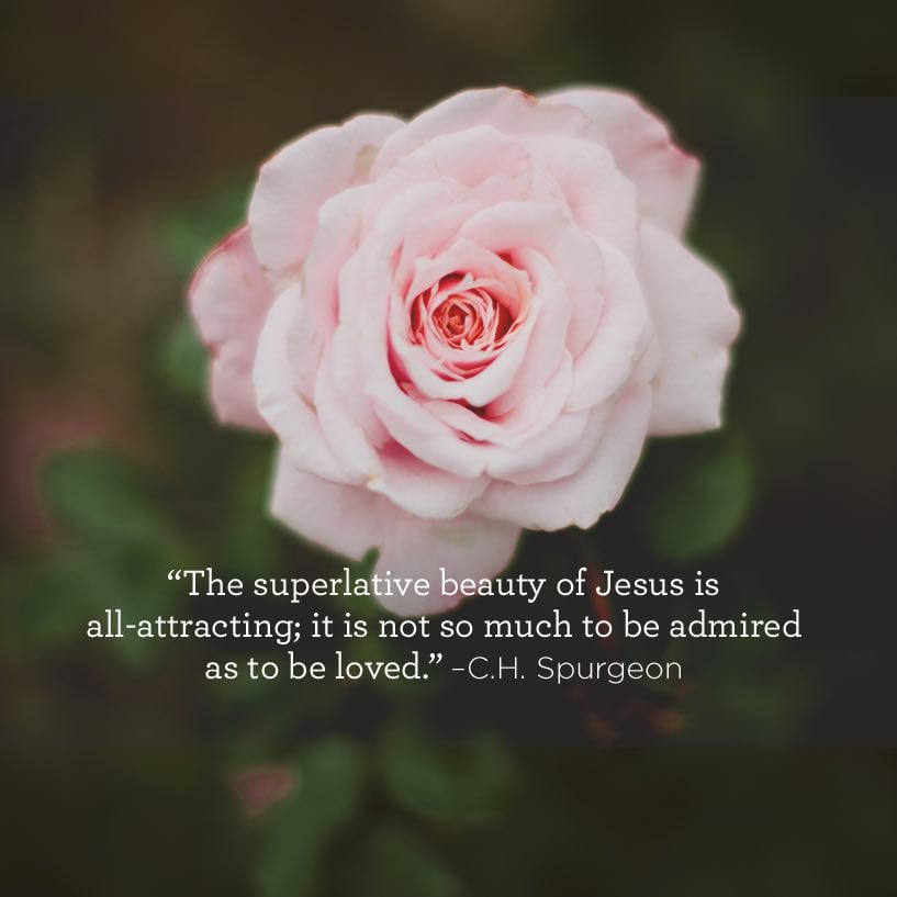 03-09b-quote.jpg 03-09b-quote.jpg