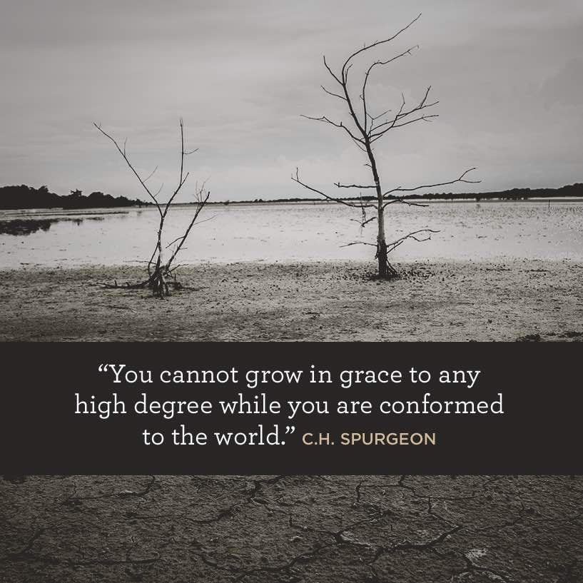 04-06-quote.jpg 04-06-quote.jpg