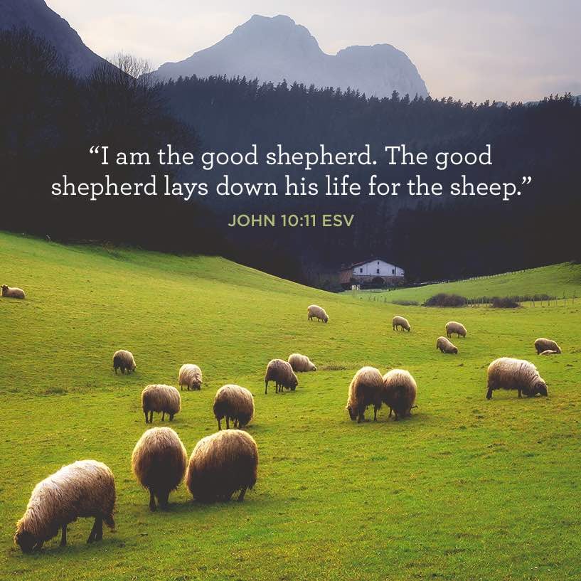I Am the Good Shepherd