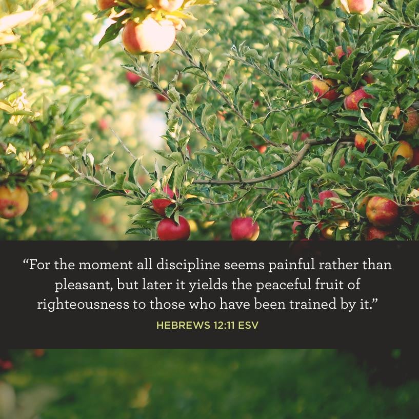 05-19-quote.jpg 05-19-quote.jpg