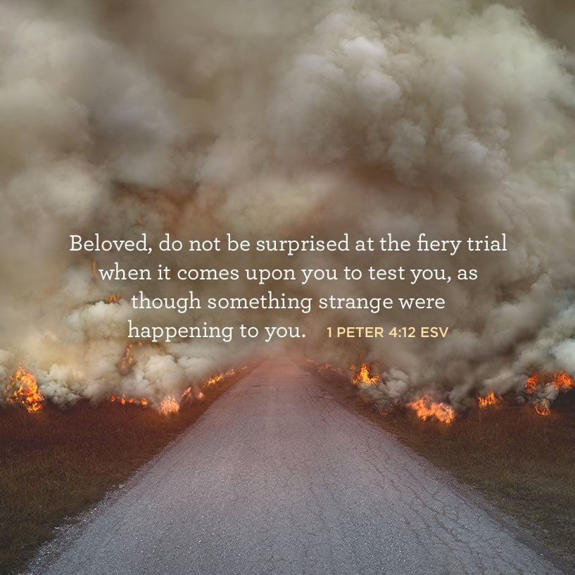 06-01-quote.jpg 06-01-quote.jpg