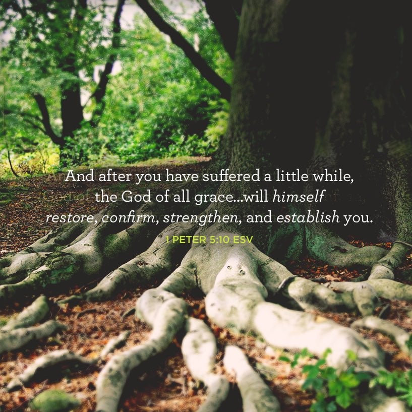 06-12-quote.jpg 06-12-quote.jpg