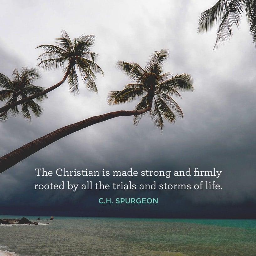 07-11-quote.jpg 07-11-quote.jpg