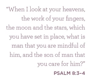 Psalm 8