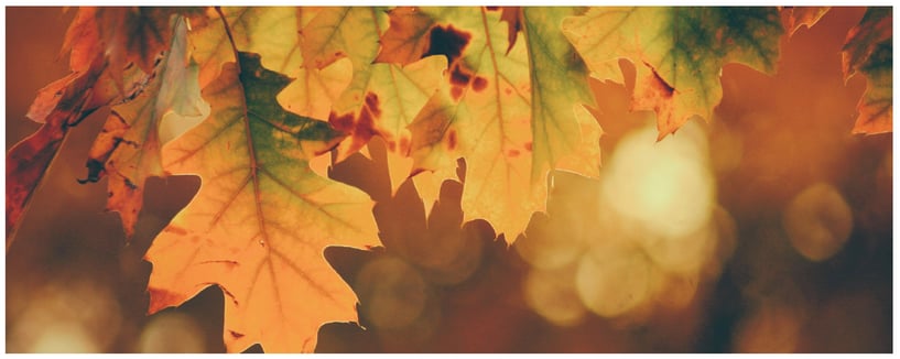Alistair Begg Alistair Begg