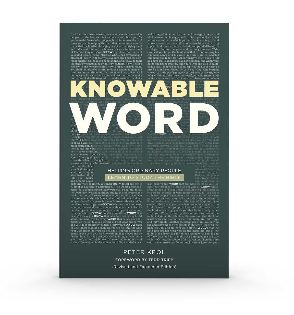 KnowableWord_Web