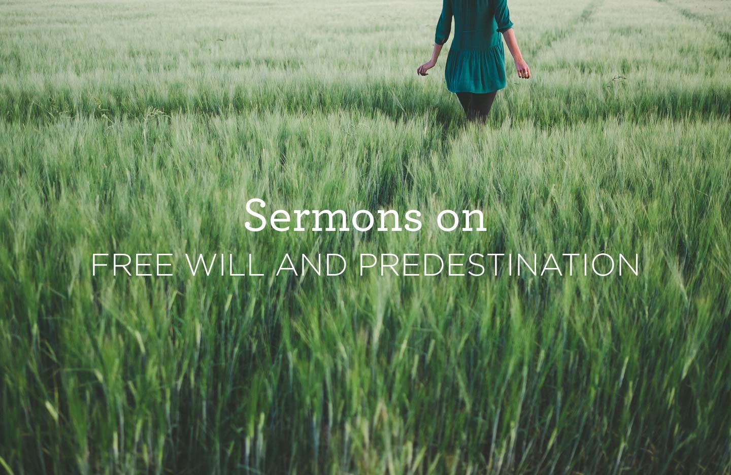 Sermons on Free Will and Predestination