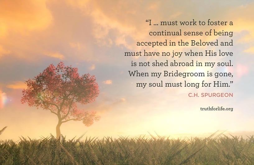 I … must work to foster a continual sense of being accepted in the Beloved and must have no joy when His love is not shed abroad in my soul. When my Bridegroom is gone, my soul must long for Him. - C.H. Spurgeon