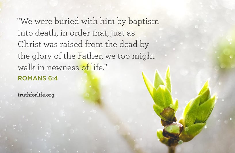 We were buried with him by baptism into death, in order that, just as Christ was raised from the dead by the glory of the Father, we too might walk in newness of life. - Romans 6:4