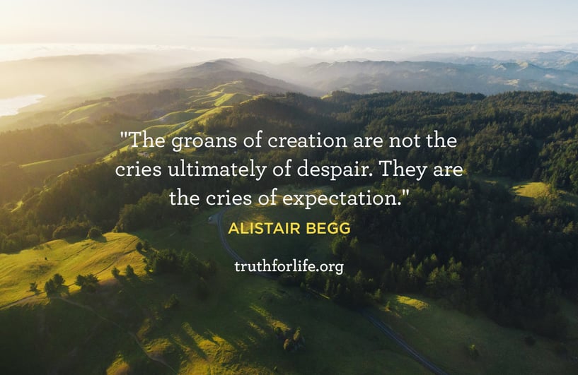 The groans of creation are not the cries ultimately of despair. They are the cries of expectation. - Alistair Begg
