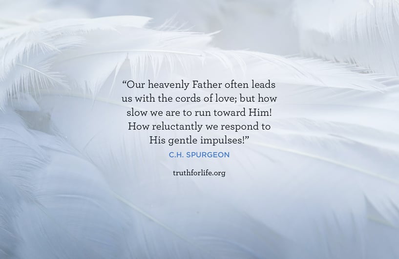 Our heavenly Father often leads us with the cords of love; but how slow we are to run toward Him! How reluctantly we respond to His gentle impulses! - C.H. Spurgeon