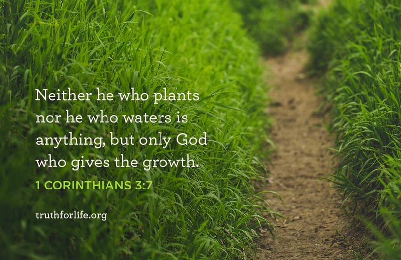 Neither he who plants nor he who waters is anything, but only God who gives the growth.  - 1 Corinthians 3:7