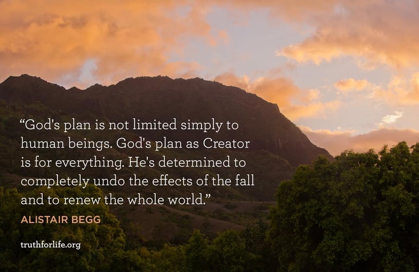 God's plan is not limited simply to human beings. God's plan as Creator is for everything. He's determined to completely undo the effects of the fall and to renew the whole world. - Alistair Begg