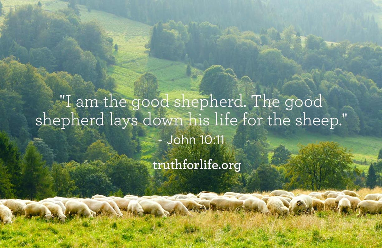 Good Shepherd: Wallpaper