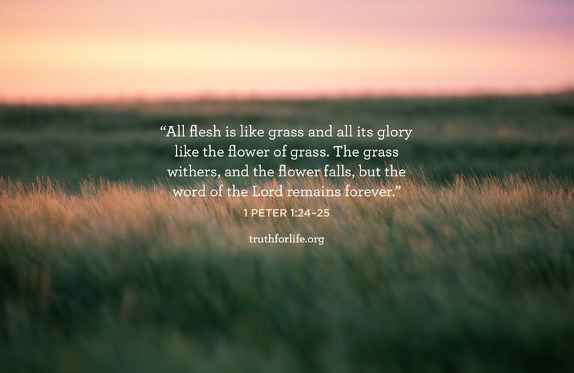 All flesh is like grass and all its glory like the flower of grass. The grass withers, and the flower falls, but the word of the Lord remains forever. - 1 Peter 1:24–25