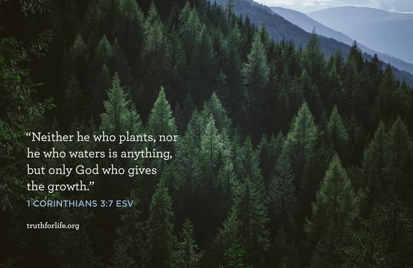 Neither he who plants nor he who waters is anything, but only God who gives the growth.  - 1 Corinthians 3:7
