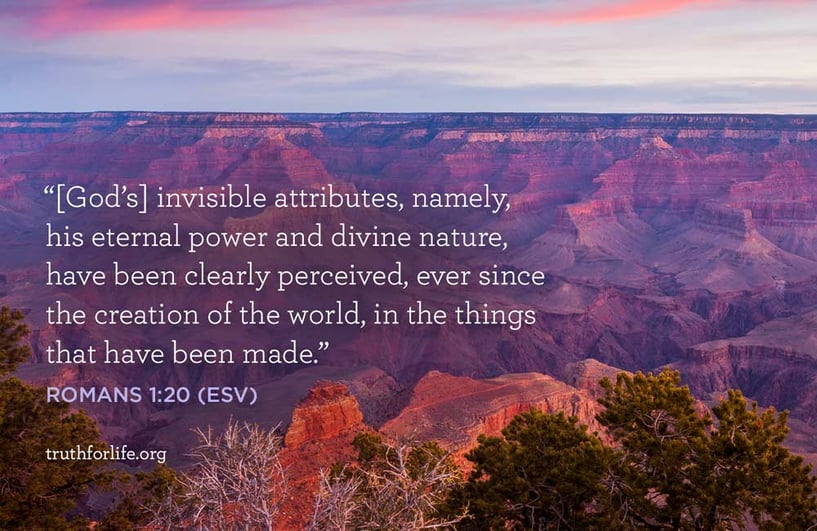 [God’s] invisible attributes, namely, his eternal power and divine nature, have been clearly perceived, ever since the creation of the world, in the things that have been made. - Romans 1:20