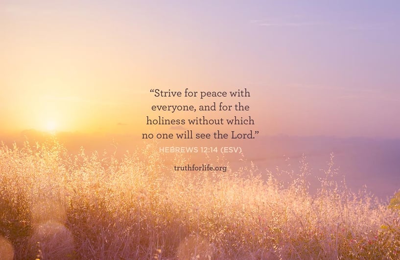 Strive for peace with everyone, and for the holiness without which no one will see the Lord. - Hebrews 12:14 (ESV)