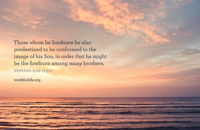 Those whom he foreknew he also predestined to be conformed to the image of his Son, in order that he might be the firstborn among many brothers. - Romans 8:29