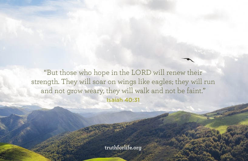 But those who hope in the LORD will renew their strength. They will soar on wings like eagles; they will run and not grow weary, they will walk and not be faint. - Isaiah 40:31