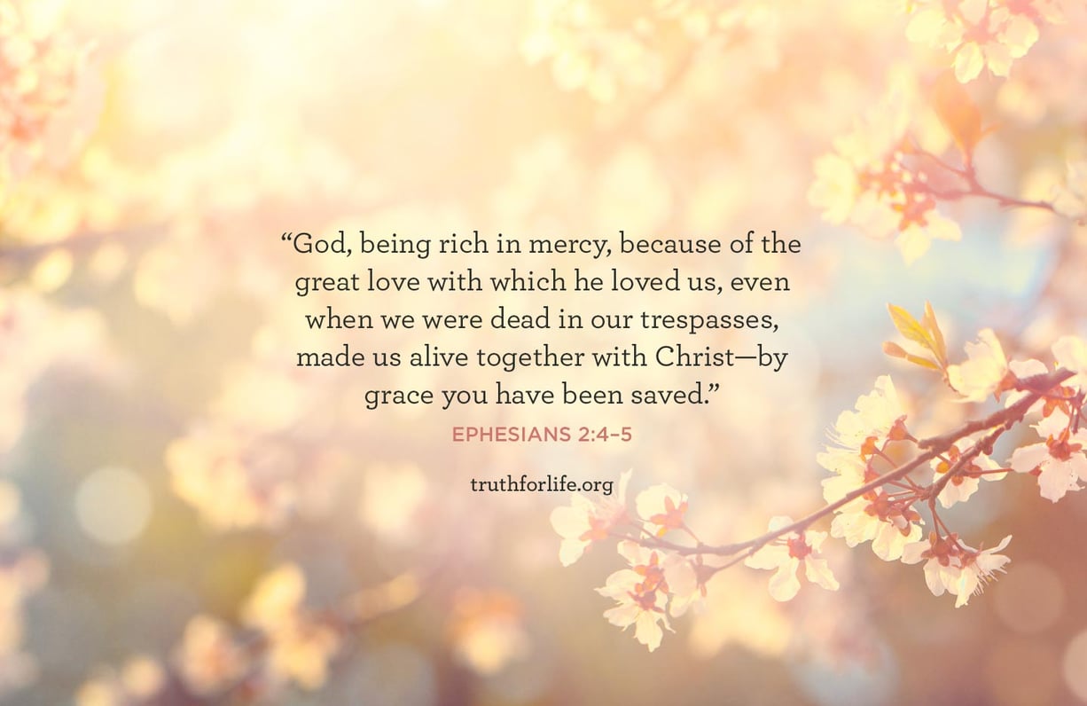 Rich in Mercy: Wallpaper