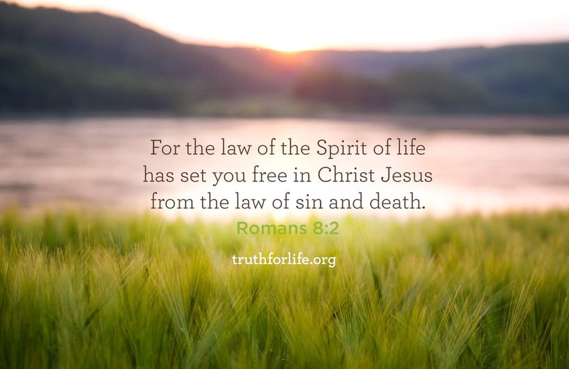 For the law of the Spirit of life has set you free in Christ Jesus from the law of sin and death. - Romans 8:2