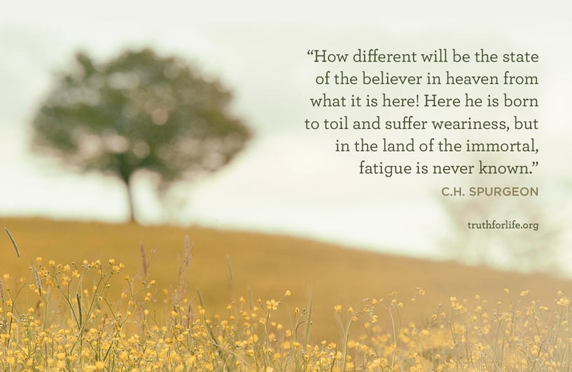 How different will be the state of the believer in heaven from what it is here! Here he is born to toil and suffer weariness, but in the land of the immortal, fatigue is never known. - C.H. Spurgeon