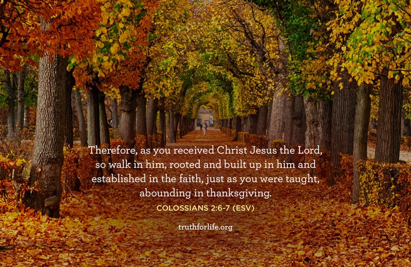 Therefore, as you received Christ Jesus the Lord, so walk in him, rooted and built up in him and established in the faith, just as you were taught, abounding in thanksgiving. - Colossians 2:6-7