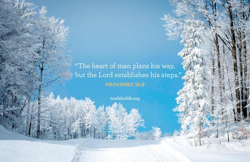 The heart of man plans his way,     but the Lord establishes his steps. - Proverbs 16:9