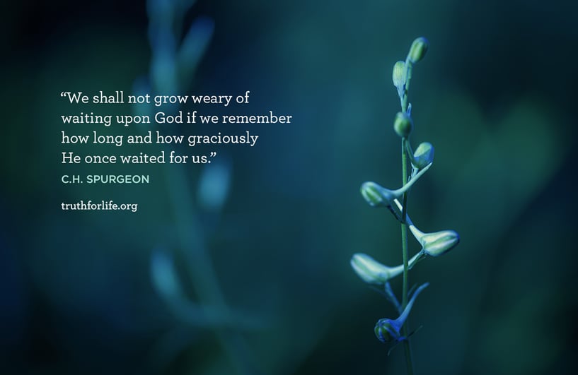 We shall not grow weary of waiting upon God if we remember how long and how graciously He once waited for us. - C.H. Spurgeon