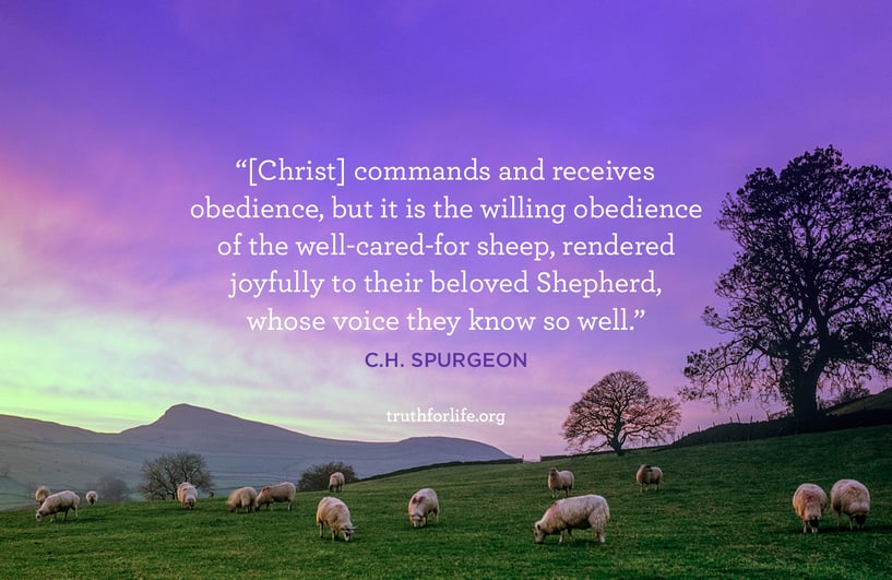 [Christ] commands and receives obedience, but it is the willing obedience of the well-cared-for sheep, rendered joyfully to their beloved Shepherd, whose voice they know so well. - C.H. Spurgeon