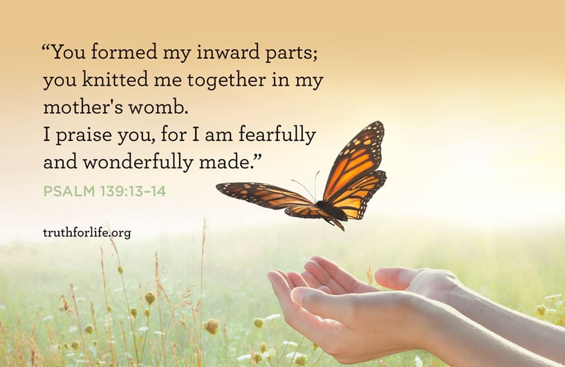 You formed my inward parts; you knitted me together in my mother's womb. I praise you, for I am fearfully and wonderfully made. - Psalm 139:13–14