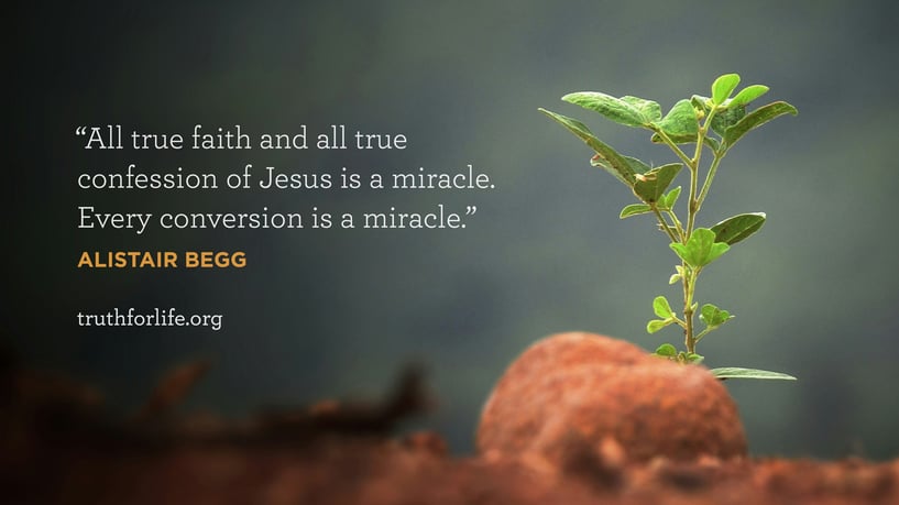 All true faith and all true confession of Jesus is a miracle. Every conversion is a miracle. - Alistair Begg